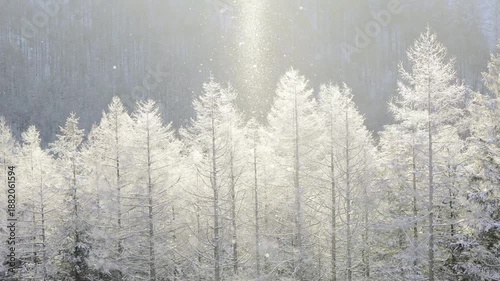 Wallpaper Mural ダイヤモンドダスト Torontodigital.ca