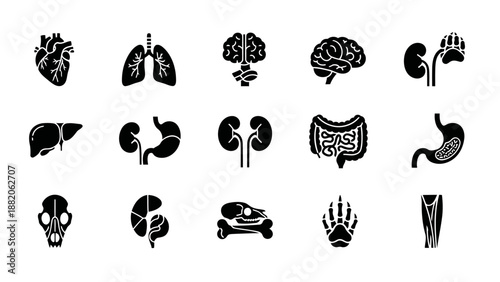 A clean and professional set of black minimalist icons illustrating dog anatomy and animal organs, arranged in a structured grid layout.