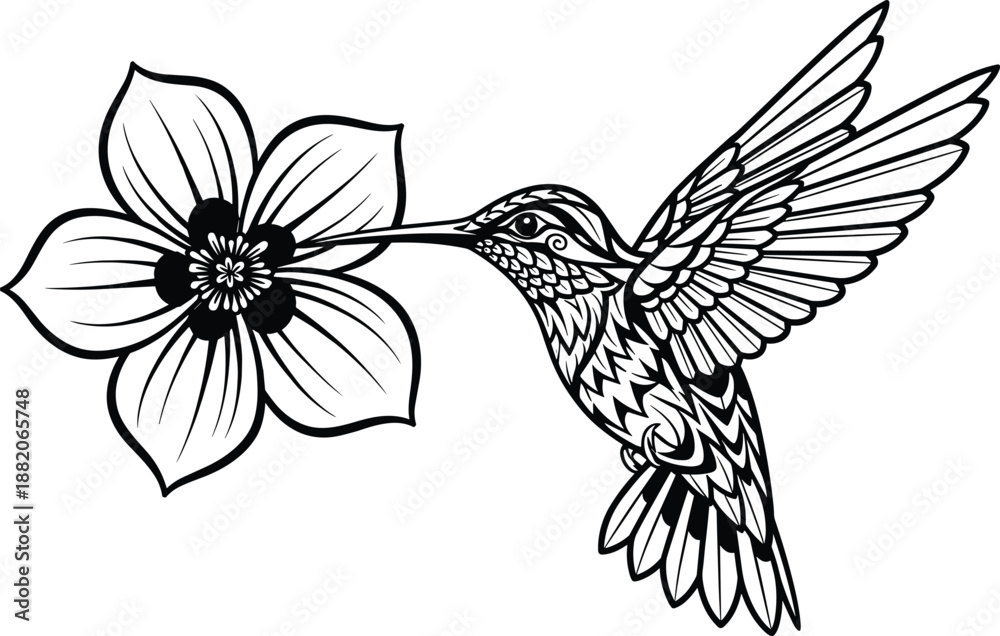 Obraz premium Hummingbird and flower line art illustration with detailed wings and petals black outline vector for tattoo and decor design