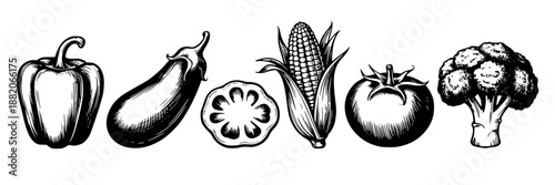 Vintage hand-drawn black and white illustration of a bell pepper, eggplant, okra slice, corn on the cob, tomato, and broccoli florets arranged in a row.