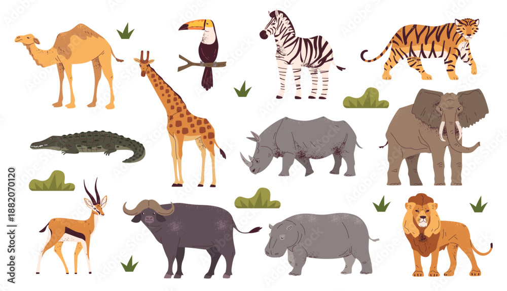 Fototapeta premium African savanna animals. Safari jungle animal fauna, exotic africa herbivorous carnivorous wild nature zebra rhino elephant giraffe tiger cartoon zoo set classy vector illustration