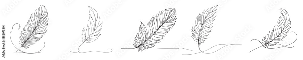 Obraz premium vector set of continuous line goose feathers