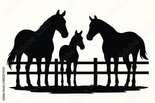 Horses in paddock silhouette vector