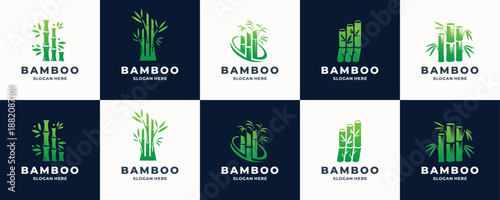 creative of collection logo bamboo tree design green gradient color branding.