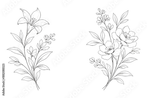 Elegant botanical flower bouquets hand drawn sketches