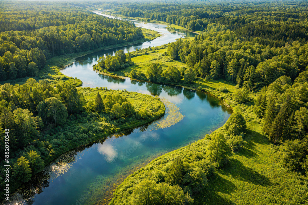 Fototapeta premium Sunlit river winding through a lush nature landscape with vibrant green trees along the stream ecosystem
