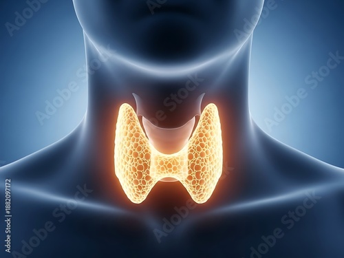 Detailed view of human neck highlighting the thyroid gland's anatomy and its vital role in human health