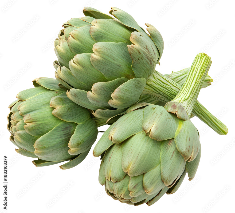 Fototapeta premium PNG Artichokes artichokes vegetable photography.