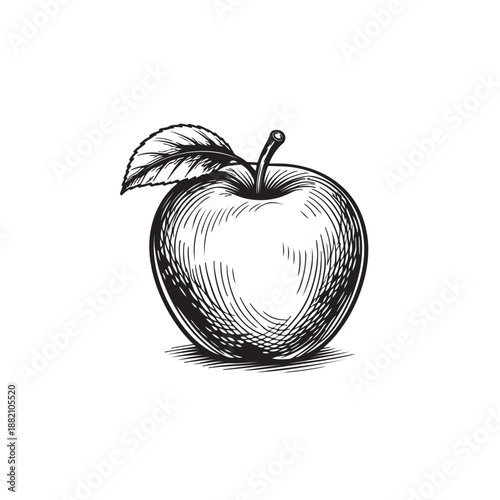 Hand-drawn black-and-white sketch of an apple with a leaf, rendered in a classic engraved style, simple, clean, and suitable for vintage or minimalist design themes.