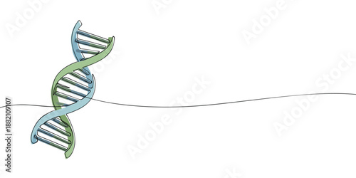 Minimal line illustration of a DNA double helix representing genetics biology science heredity research and molecular structure