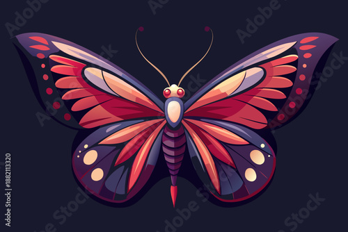 black and white butterfly