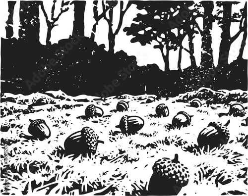 Acorns scattered on forest floor with trees in background black and white woodland scene