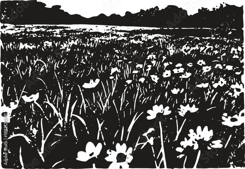 Wildflower meadow with blooming flowers under a dark sky in a natural landscape