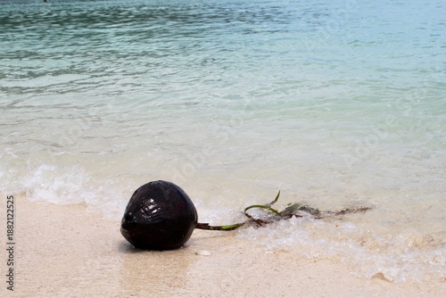 Sticker Fresh coconut floating in turquoise tropical beach water.