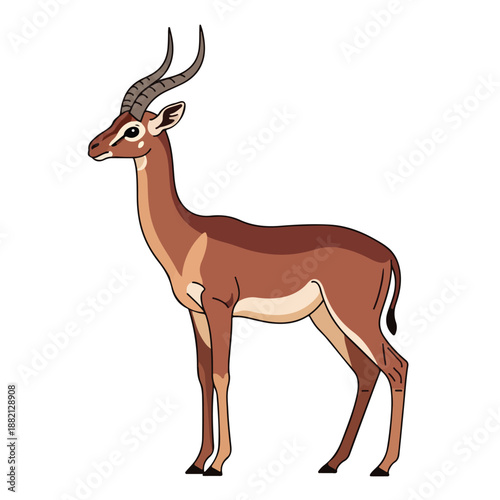 Brown Antelope Standing Isolated on White Background