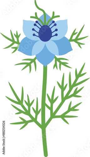 Nigella Sativa Blue Flower Vector Illustration, Isolated Botanical Herb Clipart for Design