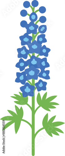 Tableau sur toile Vector Illustration of Bluebonnet Wildflower Isolated on White Background for Bo