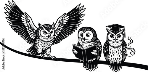 PrintThree Wise Owls Illustration Featuring One Flying with Wings Spread One Reading a Book and One Wearing Graduation Cap and Holding Coffee Cup Vector