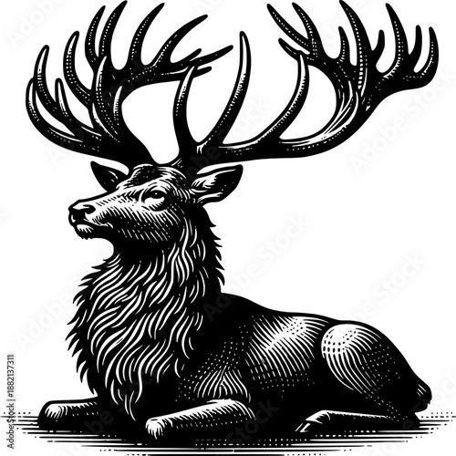Majestic Deer Illustration: An elegant illustration of a deer, showcasing its impressive antlers and dignified posture, the epitome of the wild creature's grace and beauty.