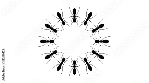 Twelve keywords: black ants arranged in a circular pattern on a white background insect insects