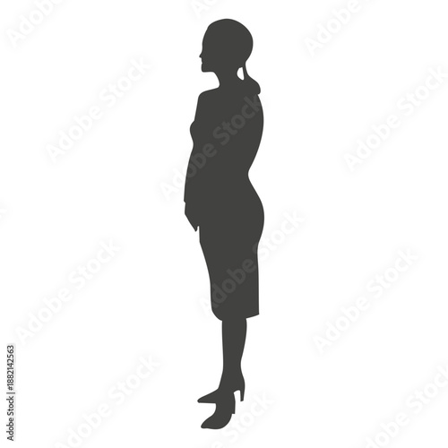 Female secretary standing silhouette