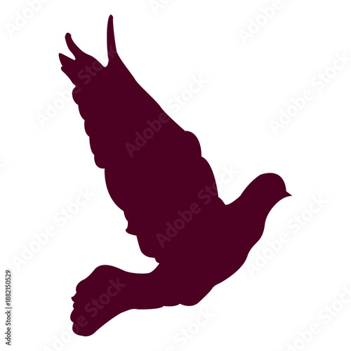 Dove flying sequence 11