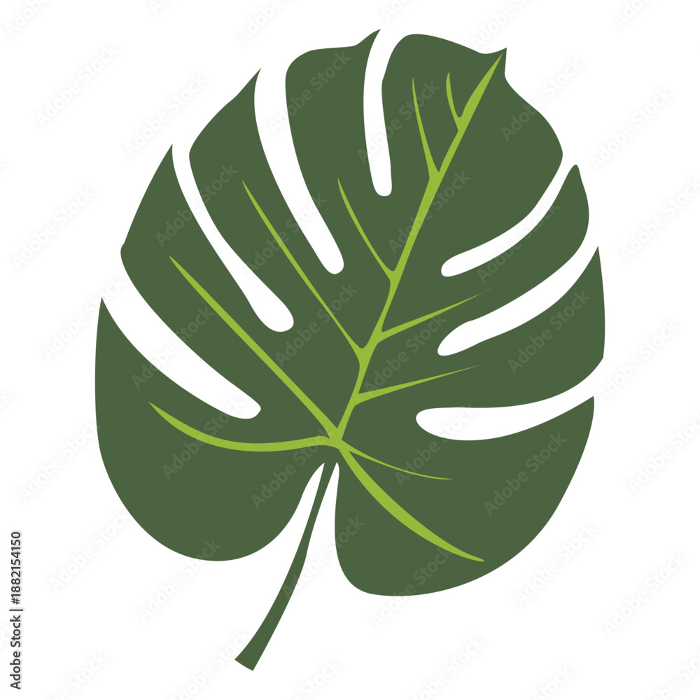 Fototapeta premium Tropical palm leaf illustration