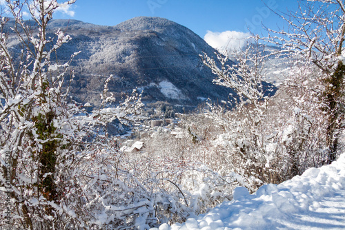 Village de montagne sous la neige vu à travers les arbres en hiver