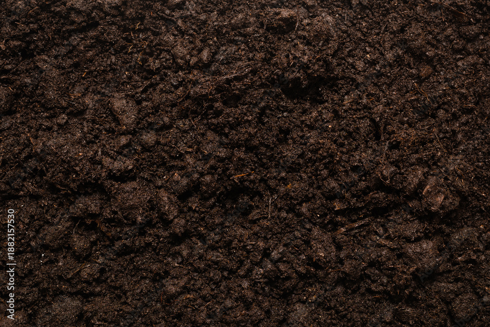 Fototapeta premium Black land for plant background.