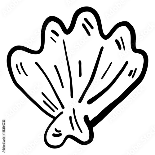 Sea shell mollusc mollusk shellfish stroke