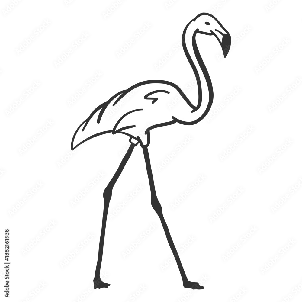 Fototapeta premium Flamingo beak neck leg doodle bird