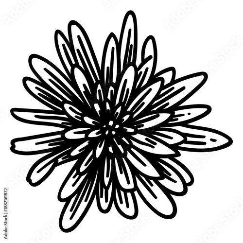 Flower petal leaf stroke