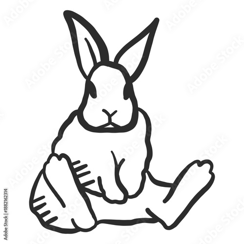 Rabbit bunny muzzle ear sitting doodle hare