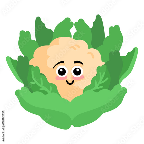 Cauli cauliflower flat