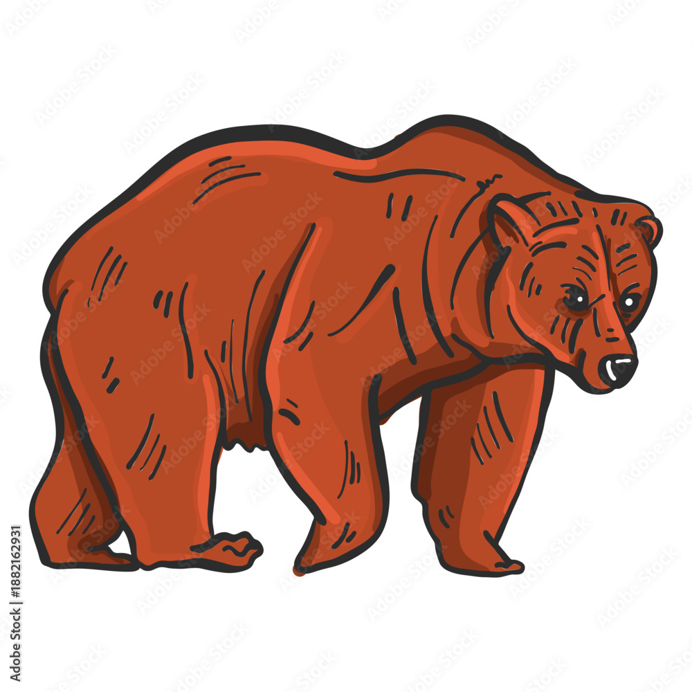 Fototapeta premium Bear fur grizzly colored sketch