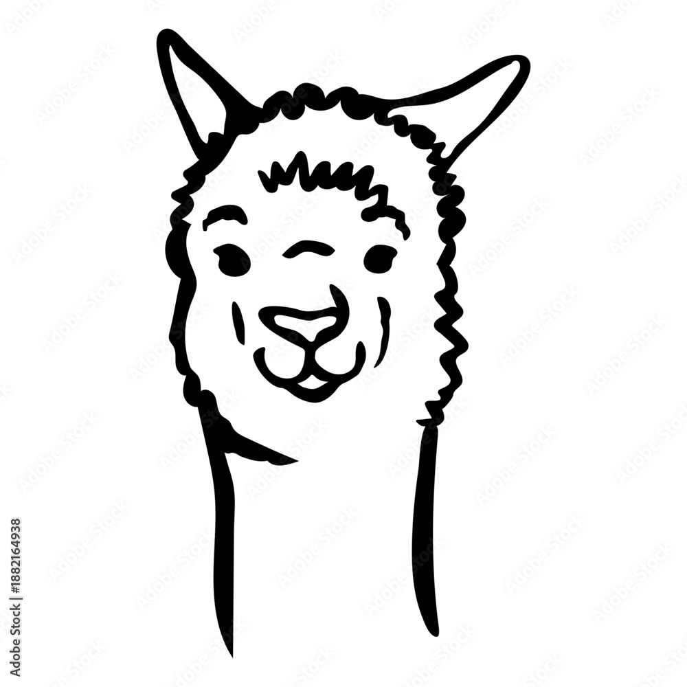 Obraz premium Llama face stroke