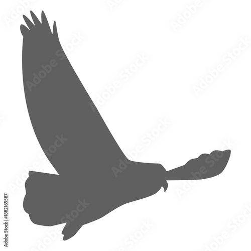 Owl eagle owl wing silhouette