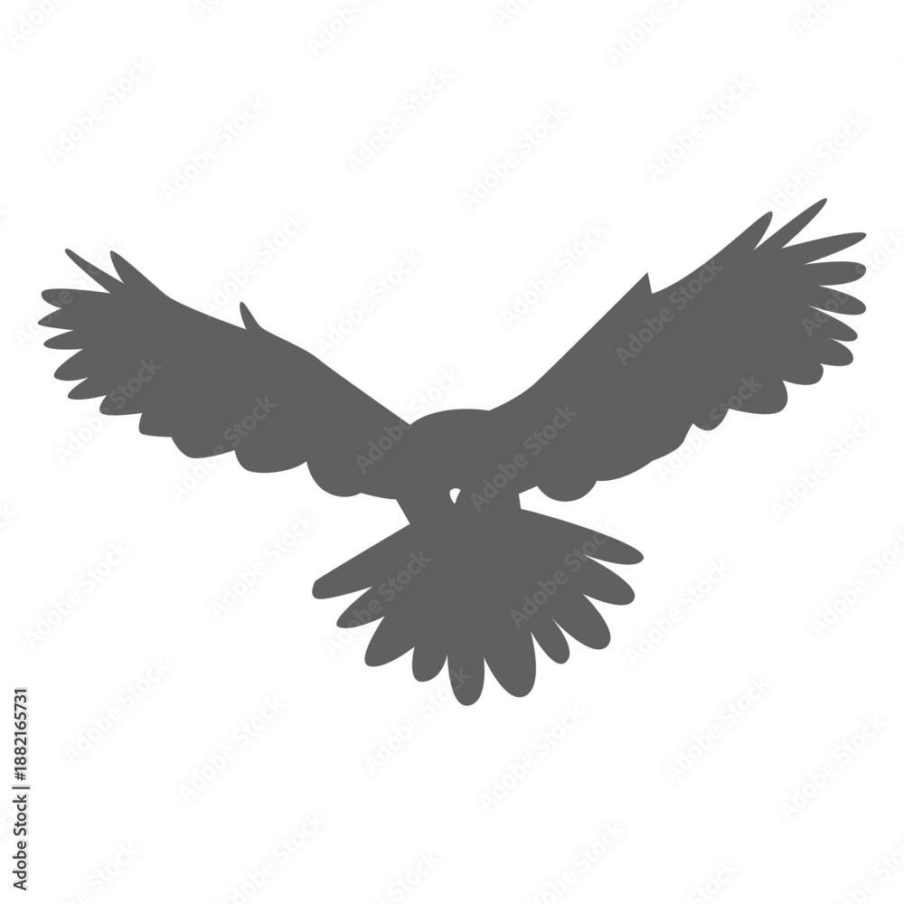 Obraz premium Owl wing eagle owl silhouette