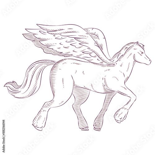 Pegasus horse illustration