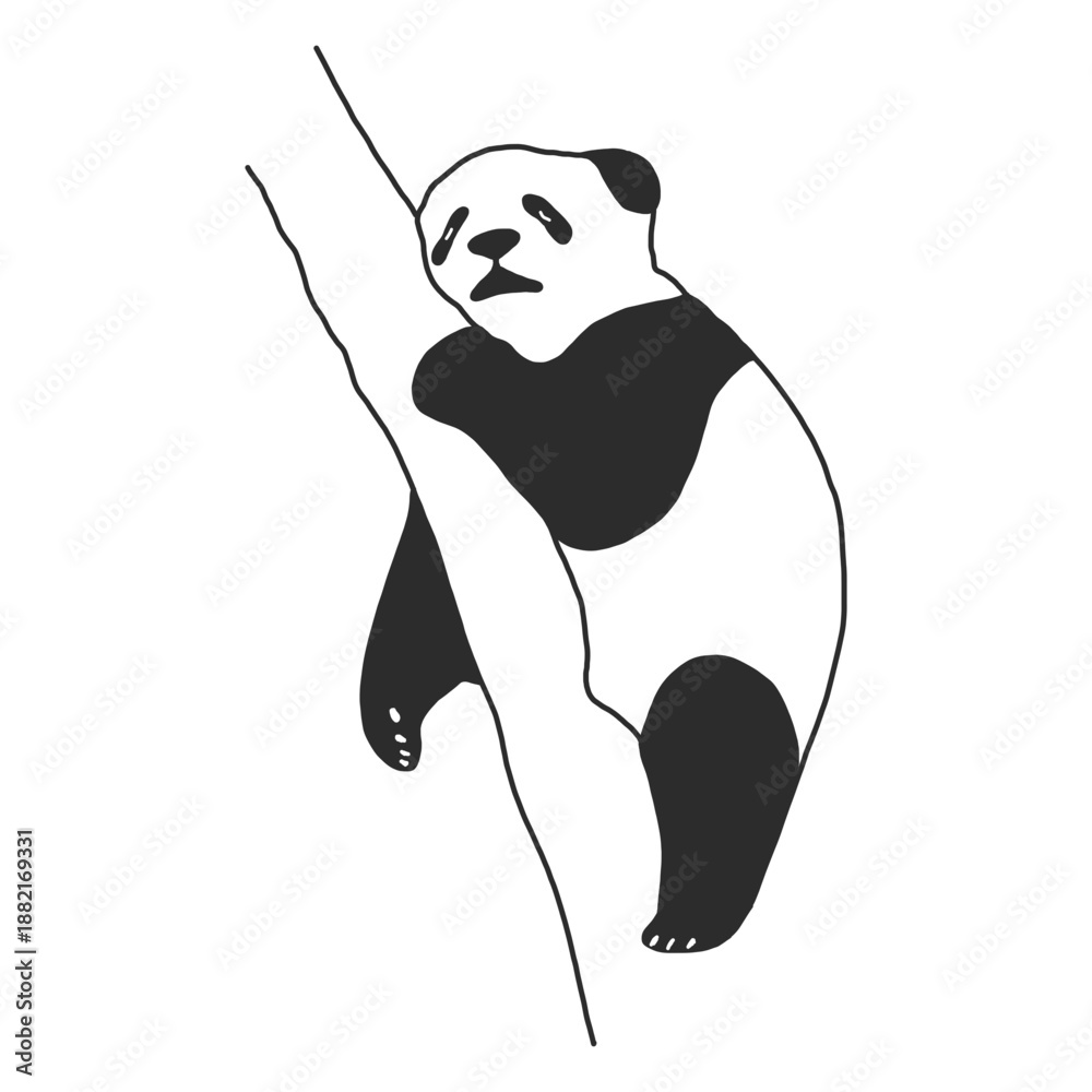 Obraz premium Sleeping panda vector