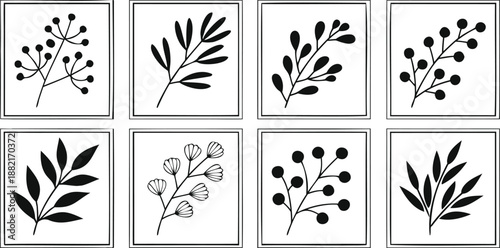 Botanical leaves plants with vector file