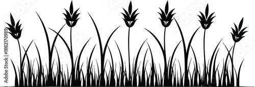 A vector file of grass