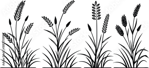 Grass plants with vector file
