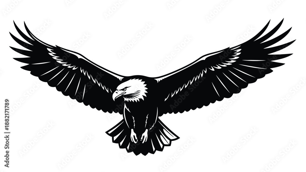 Obraz premium eagle in flight