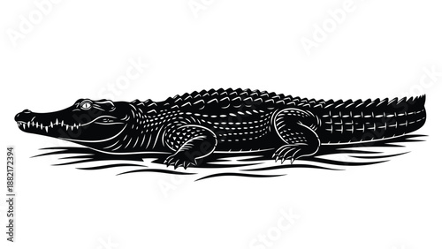 crocodile in a black