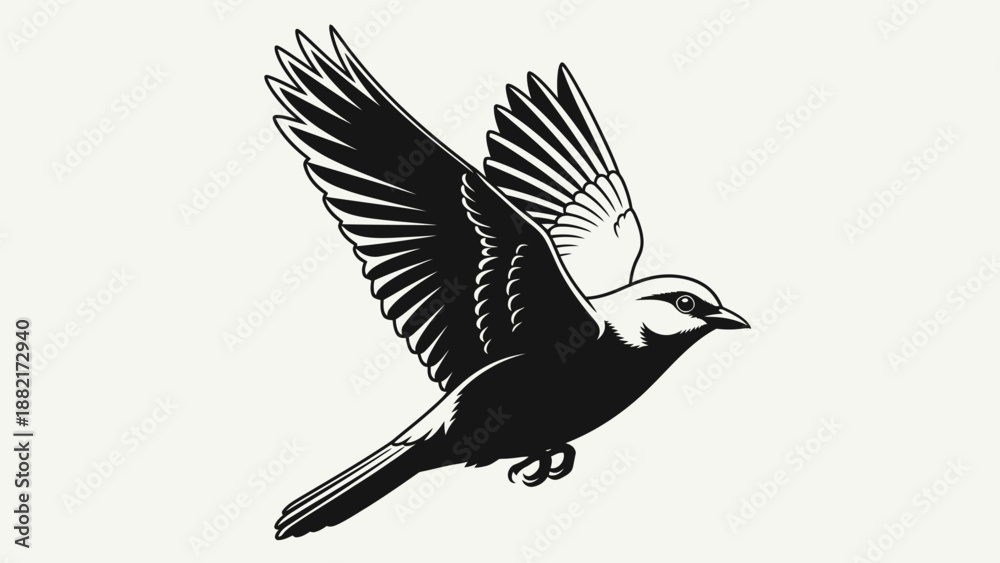 Obraz premium white pelican flying