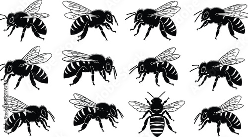 Bee silhouettes collection showing flying honeybees in multiple poses, detailed black insect illustrations for pollination, nature education, wildlife design, ecology concepts, projects, graphics