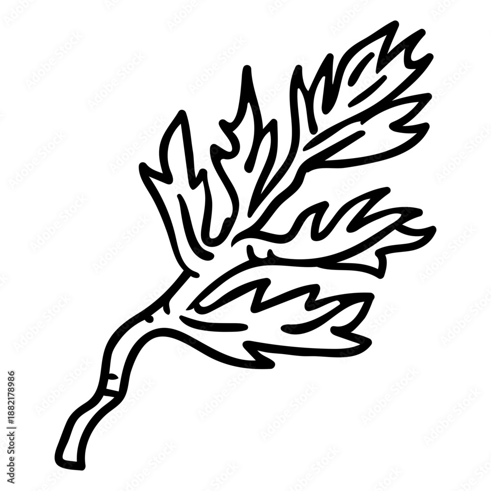 Obraz premium Poppy flower stem stroke