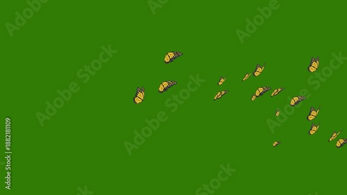 Flapping Butterflies Flying isolated Green Background. seassonal signs