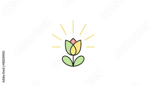 Vibrant tulip flower with sunburst background